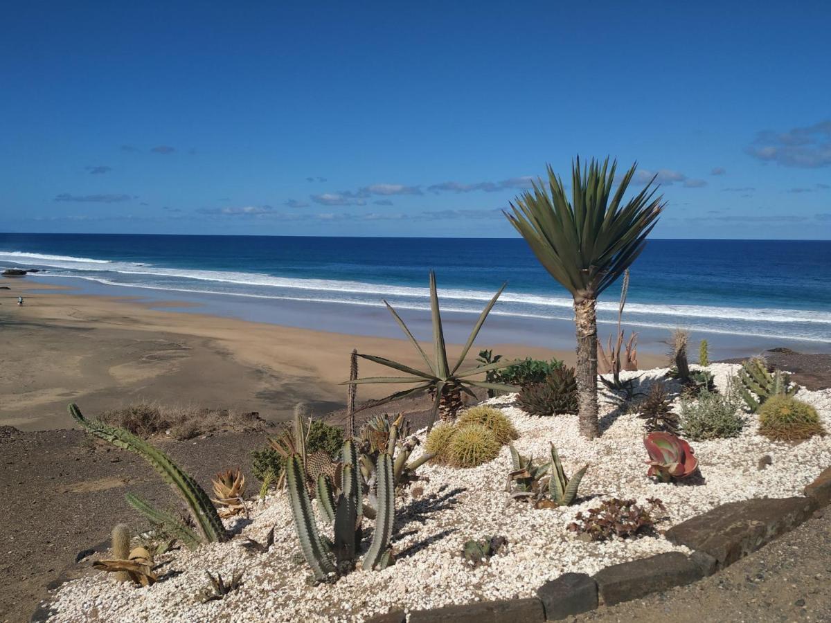 CotilloPent House Ocean View公寓 外观 照片