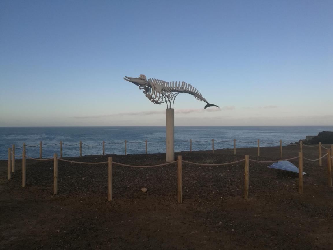 CotilloPent House Ocean View公寓 外观 照片